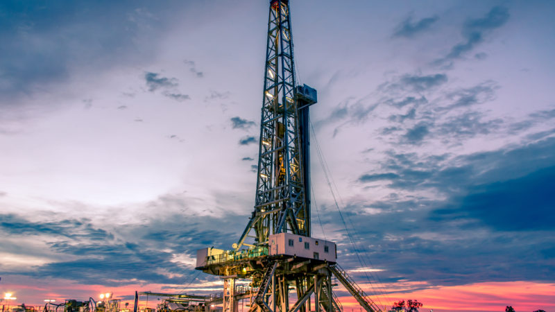 Shutterstock 1164579244